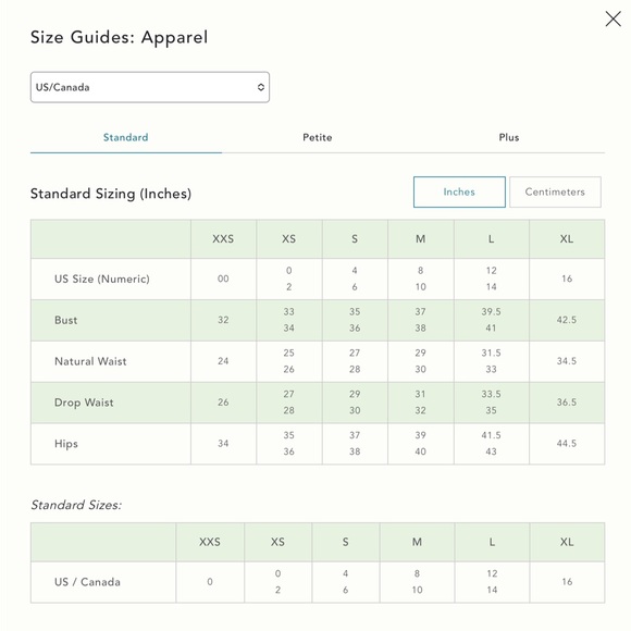 NWTS ANTHROPOLOGIE Embroidered Skirt (10) - Picture 16 of 16